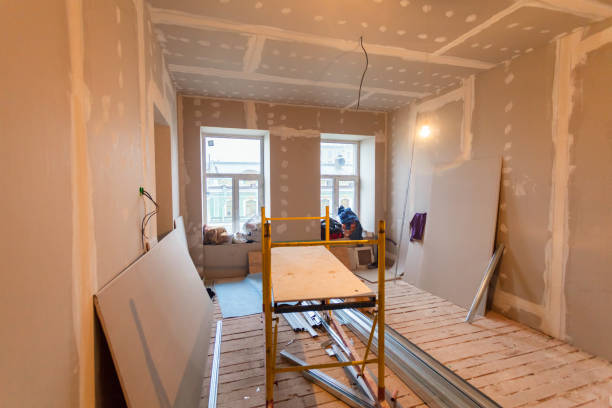 Best Drywall Removal and Disposal  in Frankford, DE